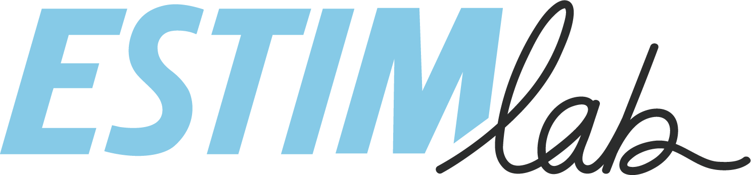 Site web – Un nouveau chapitre pour ESTIM Lab ! par Raugui Informatique
